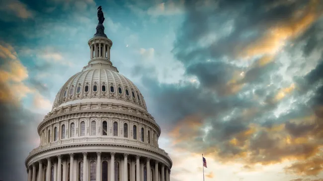 Government